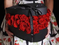 Bed of Roses