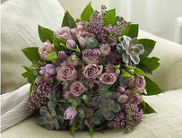 Lilac Haze